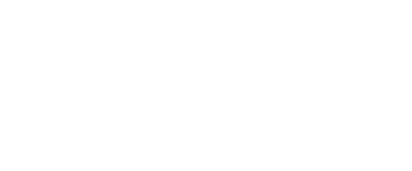 Zager Guitars Home